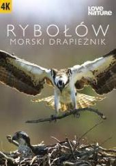 Rybołów: Morski drapieżnik